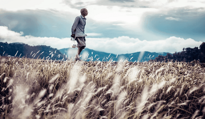 A Strategy to Address Adoption and Buying Behaviour of Farmers