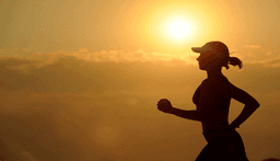 Business Model Evaluation and Future Roadmap Development for a Physical Education (PE) Services Provider