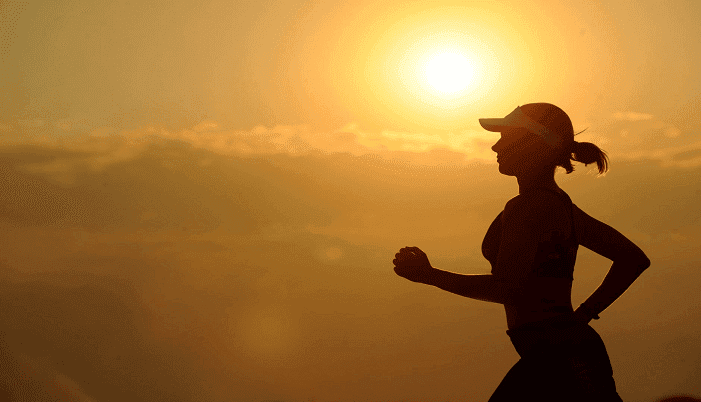 Business Model Evaluation and Future Roadmap Development for a Physical Education (PE) Services Provider