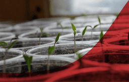 Curbing Farm Productivity Woes