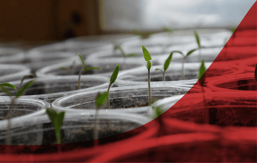 Curbing Farm Productivity Woes