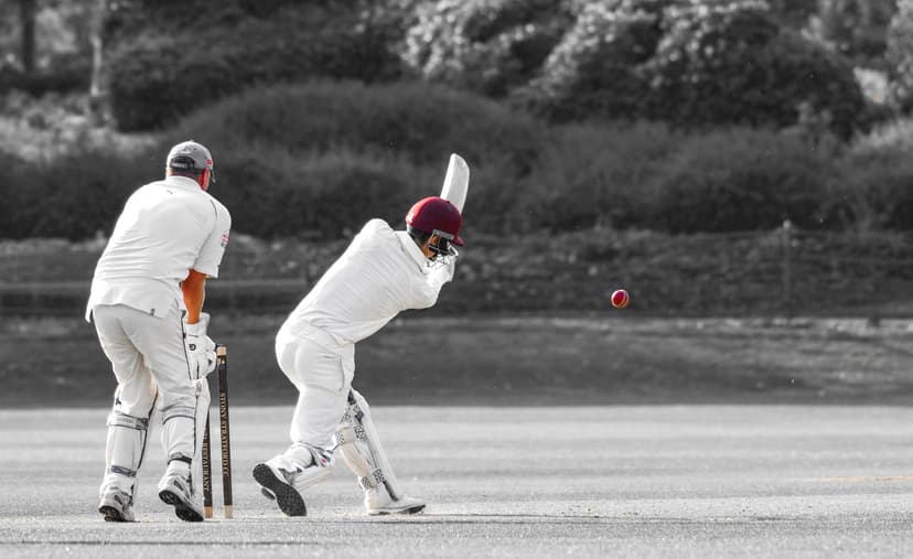 Fantasy Cricket Fever Takes Over IPL 2023 with Record Revenue      