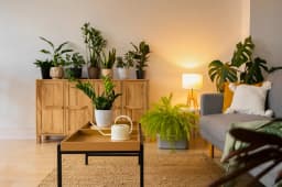 India’s Home Decor Industry: Retail’s Secret Weapon in $2 Billion Size