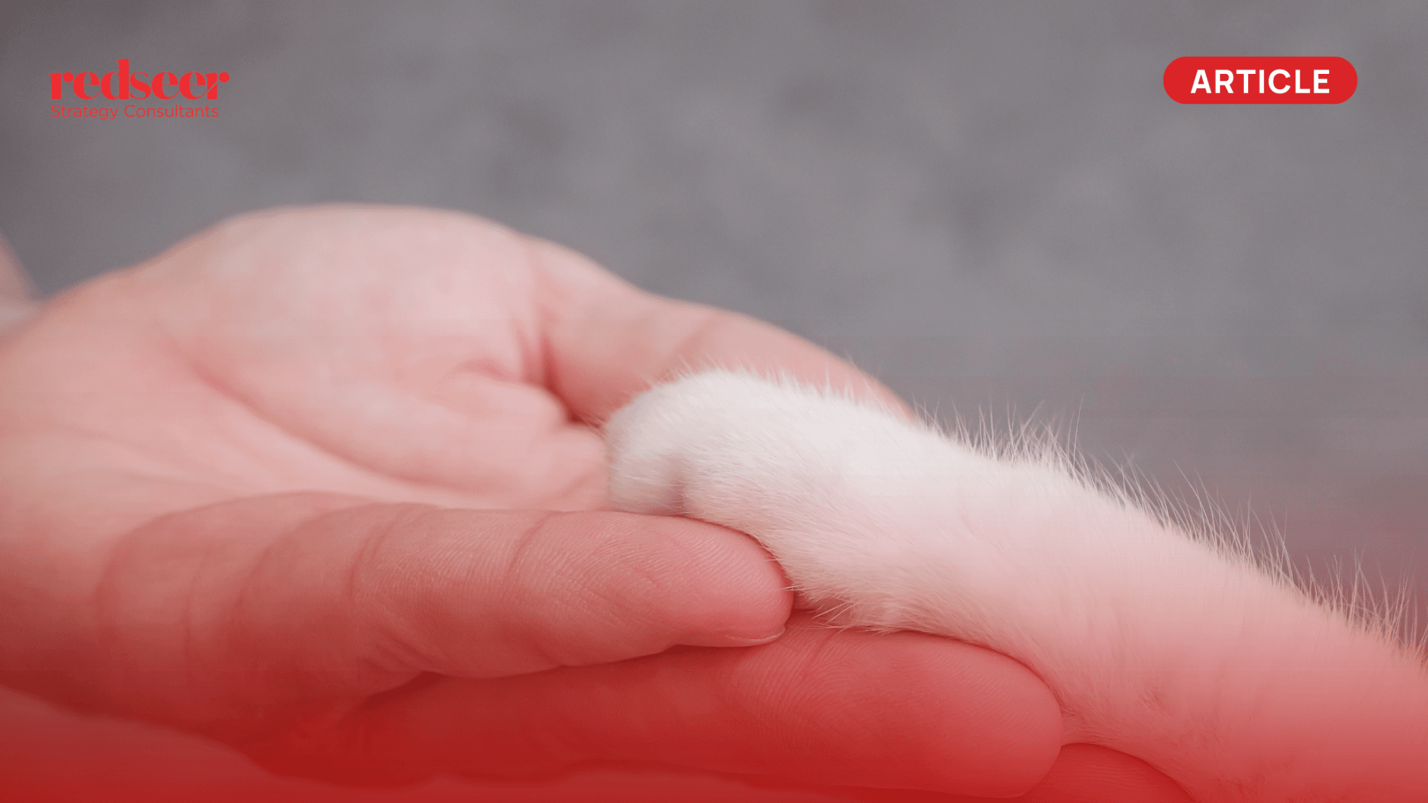 Pawsibilities Unlimited: Exploring SEA Pet Care Landscape​