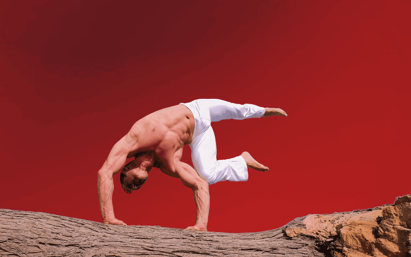 An end-to-end M&A strategy for Europe-based gaming giant