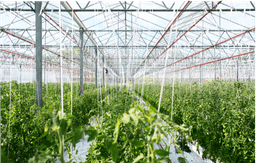 Agritech SEA – Growth From the Roots