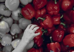 Decoding the Exceptional Trend of eGrocery in Developing Markets
