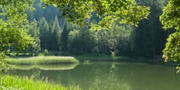 A Matter of Time: Indonesia’s ‘Carbon Offset Ecosystem’ Kicks Off