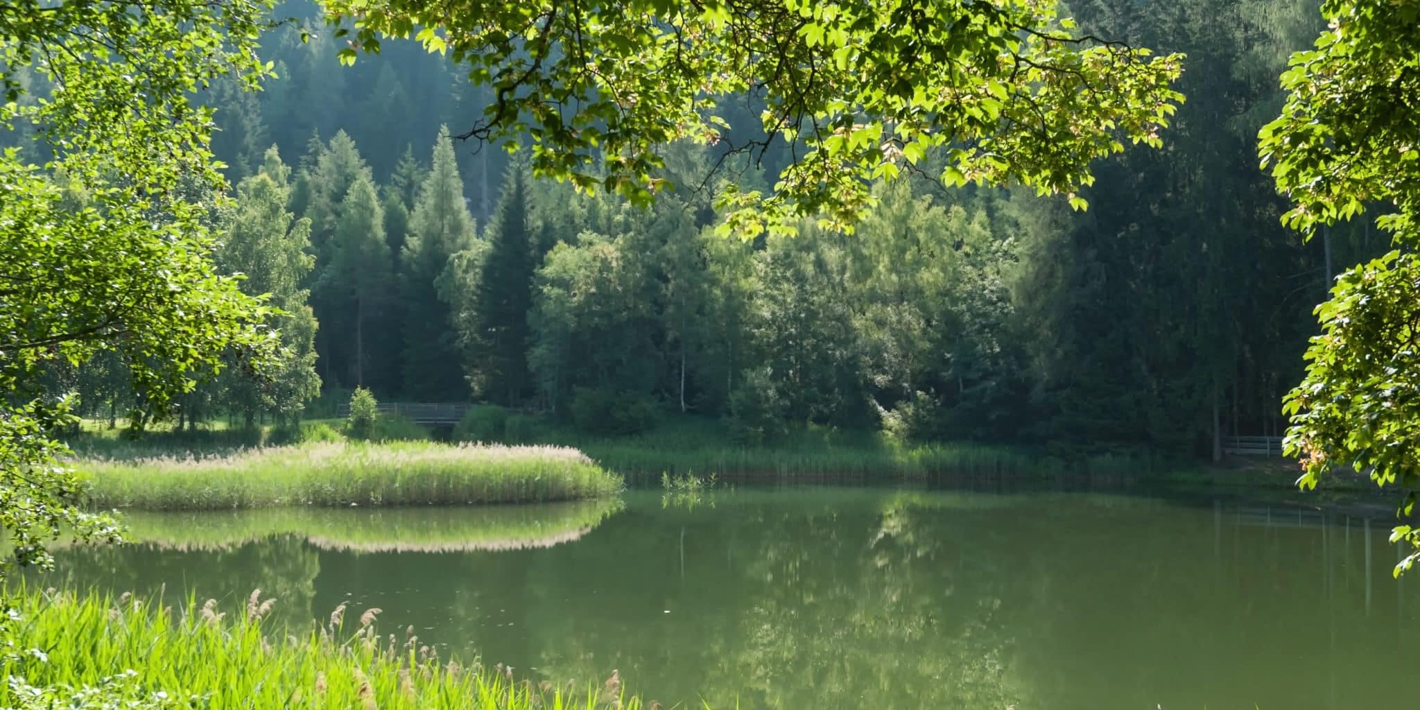 A Matter of Time: Indonesia’s ‘Carbon Offset Ecosystem’ Kicks Off