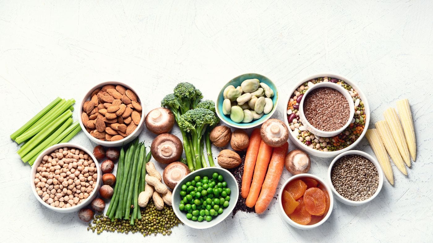 Plant Based Protein Perspective