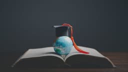 How Redseer’s CDD De-Risked a Global Bank’s Investment in a Study Abroad EdTech Firm