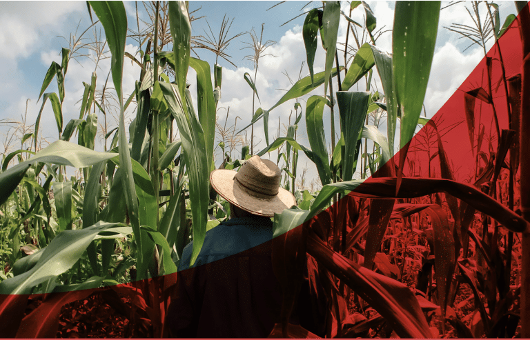 Agritech Consultancy in India | Redseer Strategy Consulting
