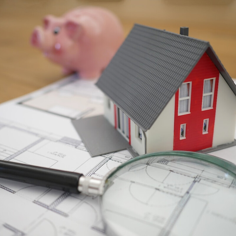 Investment and Wealth Management
