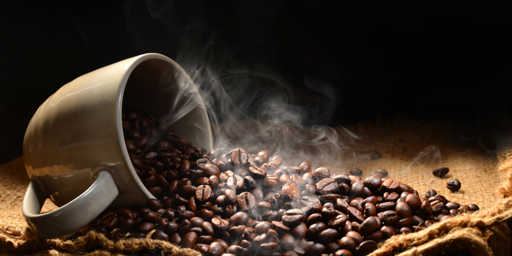 India specialty coffee market 2026